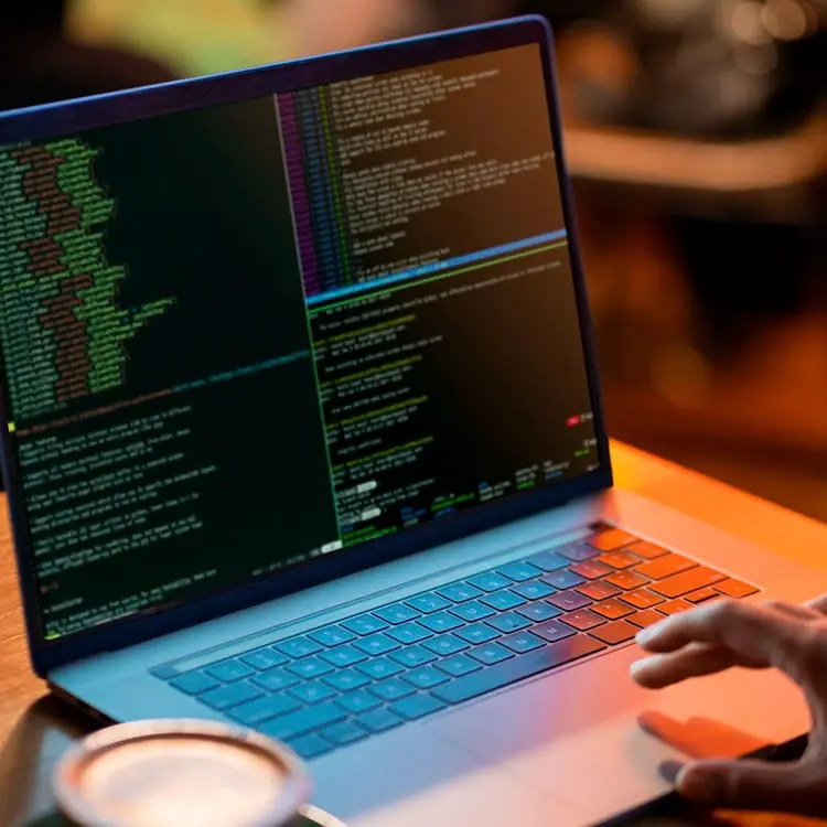 Custom software