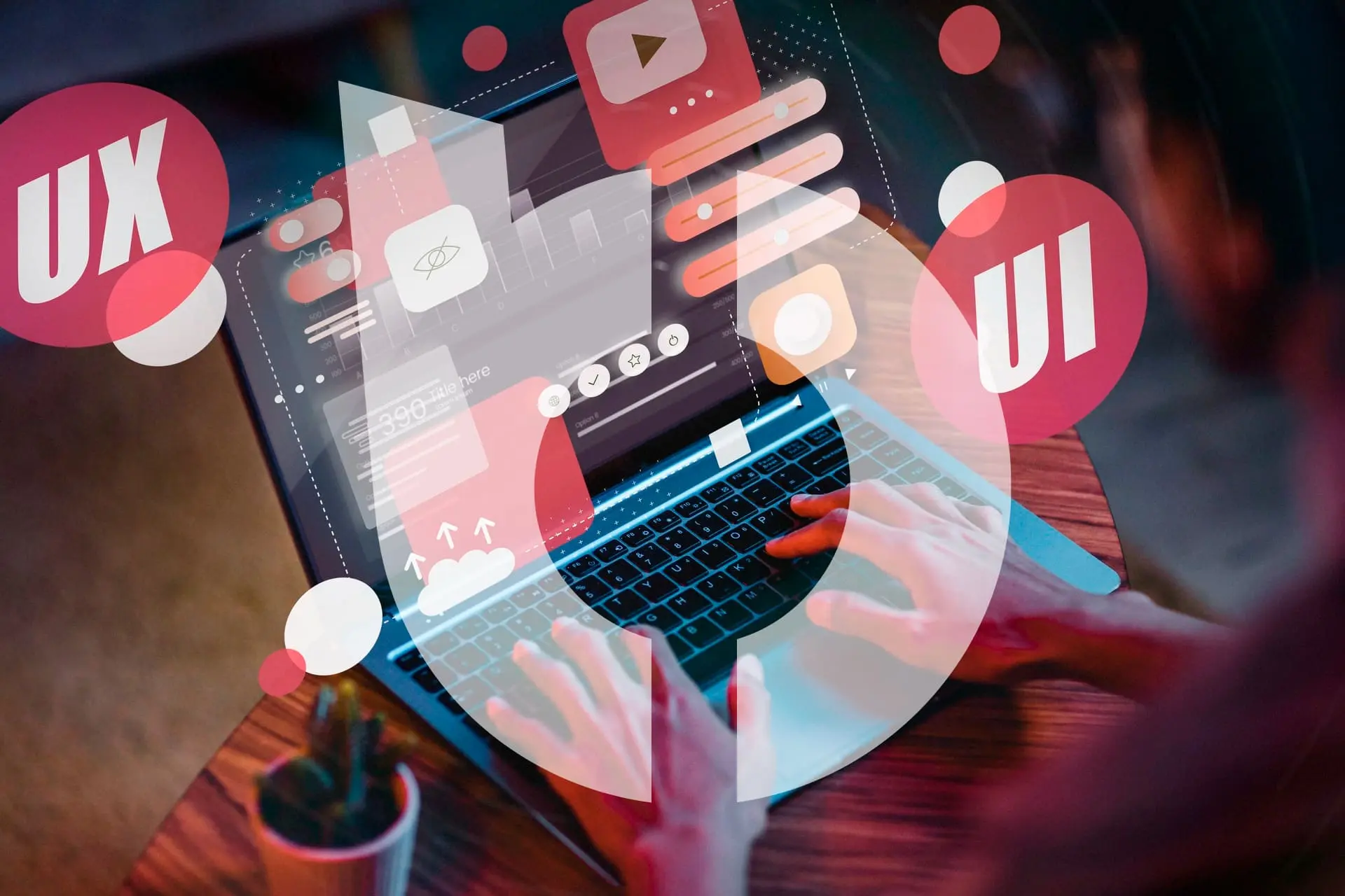 Desarrollo web bitera
